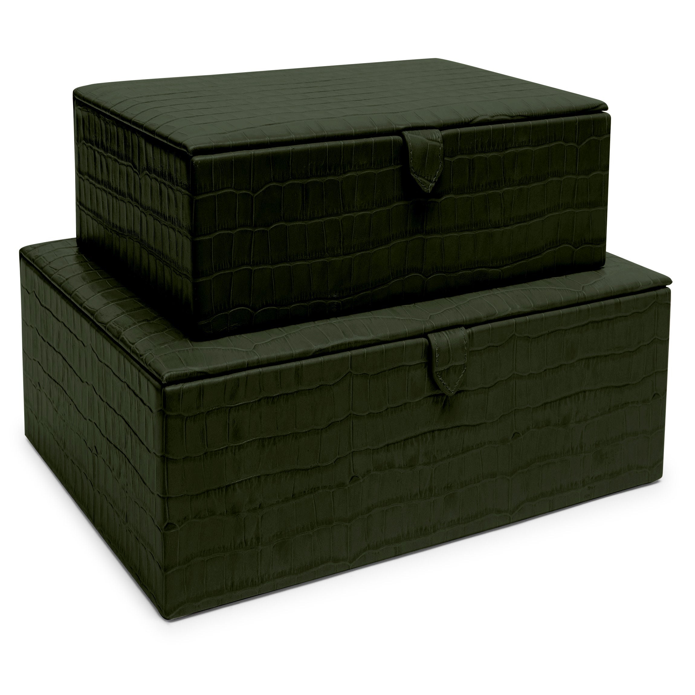 Coffret décoratif Forest Croc 0