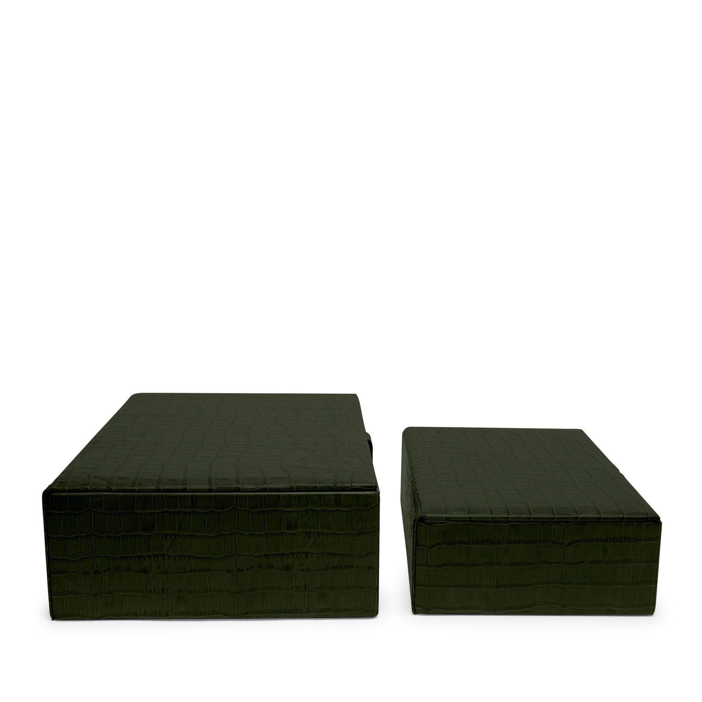 Coffret décoratif Forest Croc 2