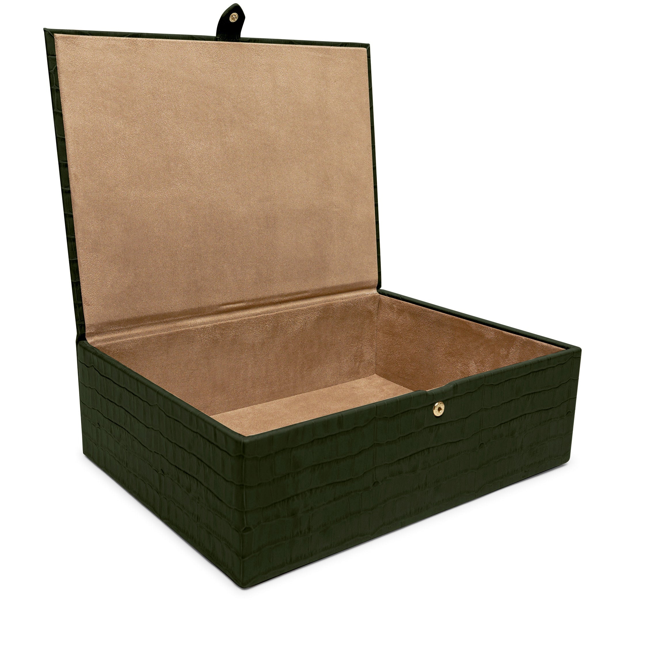 Grande boîte décorative Crocodile de la forêt 2
