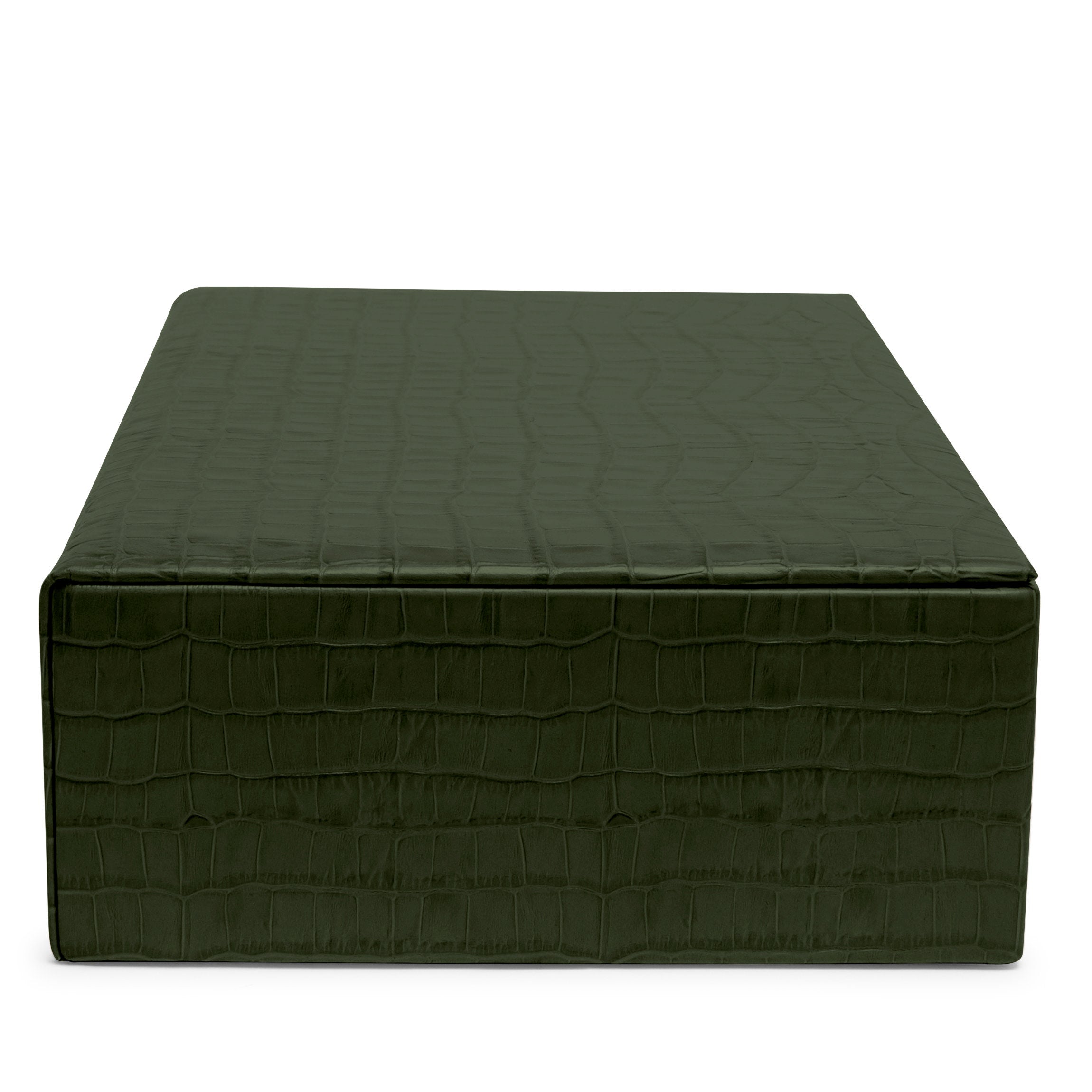 Grande boîte décorative Crocodile de la forêt 3